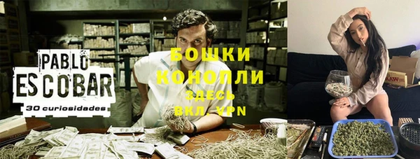2c-b Вяземский