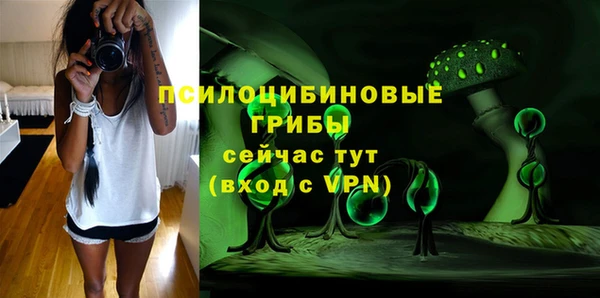 эйфоретик Вязьма